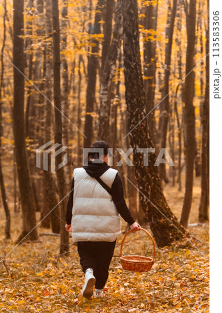 woman in autumn forest looking for mushrooms 113583306