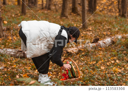 woman in autumn forest looking for mushrooms 113583308