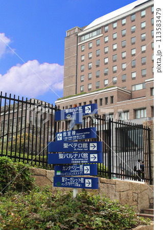 桃山学院大学 113583479