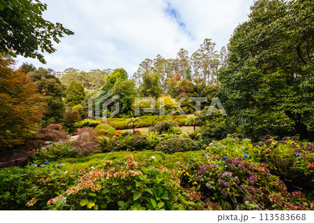 Dandenong Ranges Botanic Garden in Olinda Australia 113583668