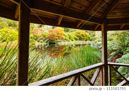 Dandenong Ranges Botanic Garden in Olinda Australia Dandenong Ranges Botanic Garden in Olinda Australia 113583703