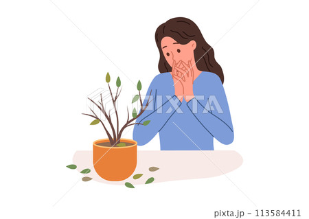Dried out houseplant in pot causes stress to upset woman who is interested in botany 113584411