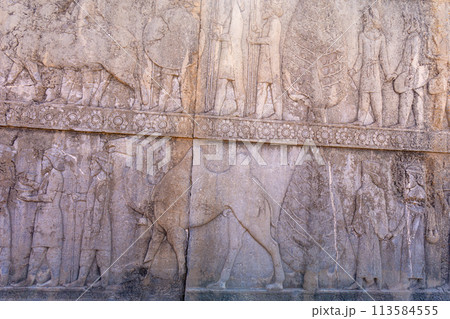 Ancient Carvings of Persepolis. 113584555