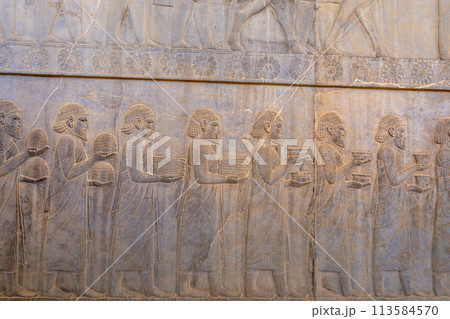 Ancient Carvings of Persepolis. 113584570