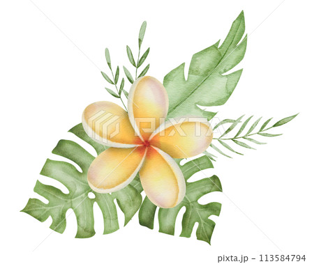 Plumeria Watercolor Frame Border. Frangipani flower with tropical leaves. Hand drawn clipart on isolated background. Round wreath from a bouquet of exotic summer plants. Floral botanical illustration. 113584794
