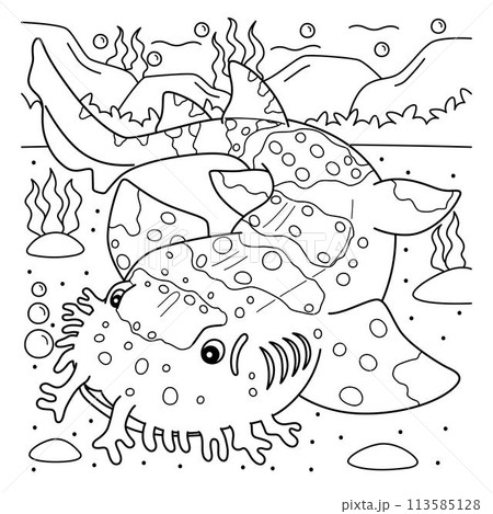 Wobbegong Shark Coloring Page for Kids 113585128