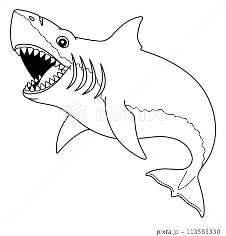 Megalodon Shark Isolated Coloring Page for Kids 113585330