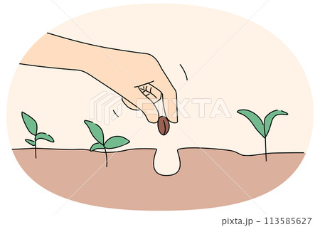 Person hand plant seed in soil 113585627
