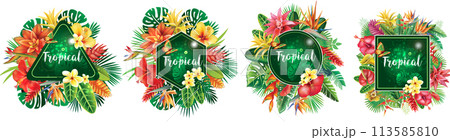 Set of Frames and from Tropical Flowers Set of Frames and from Tropical Flowers 113585810