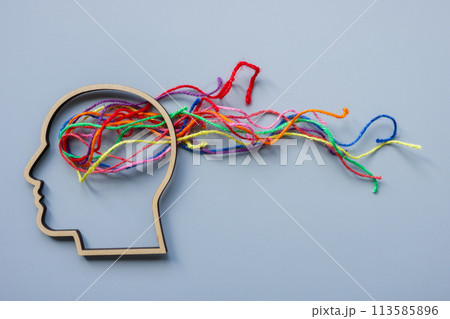 Neurodiversity, autism or creativity abstract. Head outline and colored threads. 113585896