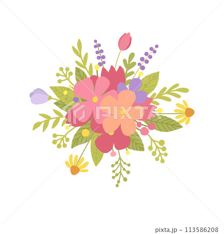 Bouquet of beautiful wild herbs, herbaceous flowering plants, blooming flowers, shrubs and subshrubs isolated on white background. Detailed botanical vector illustration. 113586208