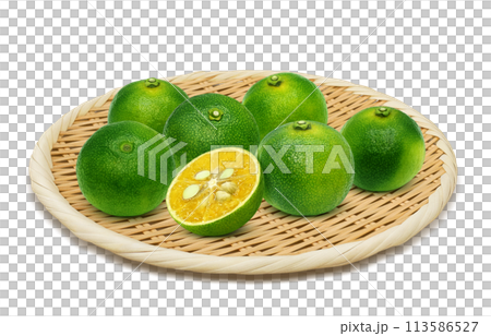 Shekwasha illustration realistic 113586527