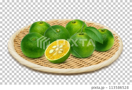 シークヮーサー イラスト リアル シークヮーサー イラスト リアル 113586528