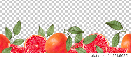 Seamless horizontal grapefruit frame. Whole and pieces of fruit with leaves. Illustration with watercolor and marker. Citrus healthy food for vegans. Border line. Vitamin C. Hand drawing isolated. 113586625