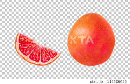 Whole grapefruit with a slice. Illustration with watercolors and markers. Hand drawn isolated art. Healthy food. Clipart of an ecological citrus product. Orange fruits for packaging, juices, menus. 113586626