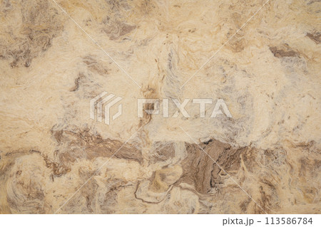 background of buckskin amate bark paper handmade created in Mexico background of buckskin amate bark paper handmade created in Mexico 113586784