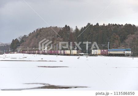 北陸本線　細呂木ー芦原温泉　JR貨物　EF81-455（富山） 113586850