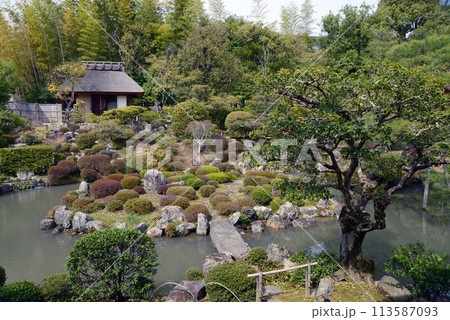 等持院　庭園と清漣亭　京都市北区 113587093