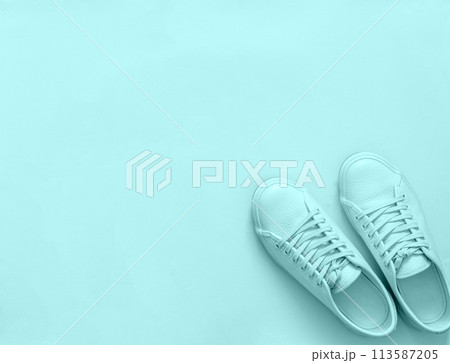 Blue leather sneakers on blue background. Pair of blue sport shoes or sneakers with copy space for text or design. Overhead shot of new blue sneakers, monochrome. Top view or flat lay 113587205