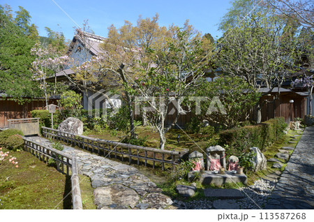 宝泉院　山門から見る境内　京都市左京区大原 113587268