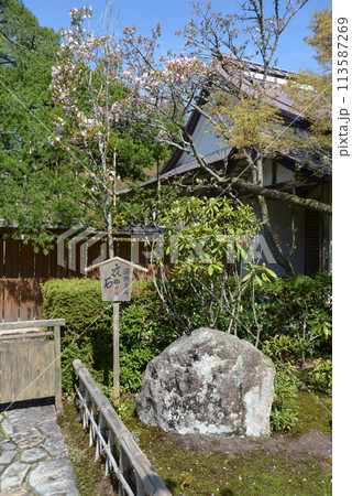 宝泉院 法然上人衣掛けの石 京都市左京区大原 宝泉院 法然上人衣掛けの石 京都市左京区大原 113587269