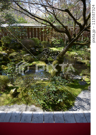 宝泉院　鶴亀庭園　京都市左京区大原 113587324