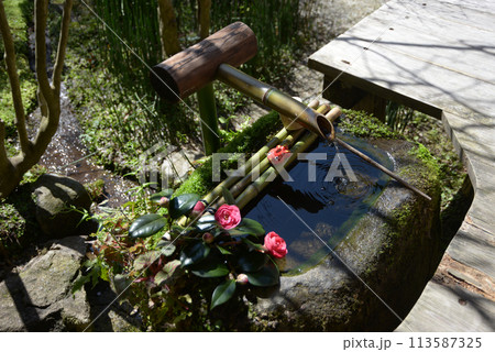 宝泉院　鶴亀庭園の手水鉢　京都市左京区大原 113587325