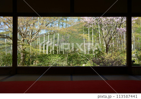 宝泉院　書院から見る盤桓園　京都市左京区大原 113587441