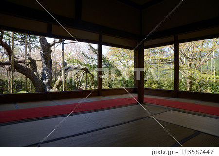 宝泉院　書院から見る盤桓園　京都市左京区大原 113587447