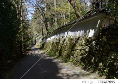 三千院　外壁と来迎院参道　京都市左京区大原 113587695