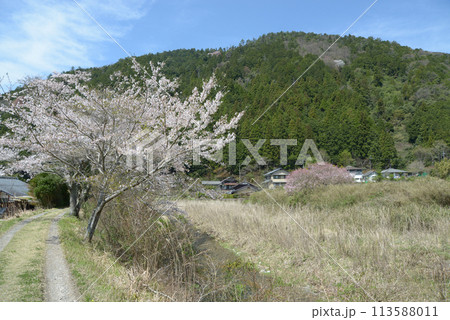 春の京都大原 京都市左京区 春の京都大原 京都市左京区 113588011