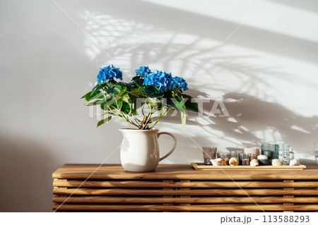 Modern minimalist Scandinavian style interior. Candles on tray and House plant blue hydrangea in a pot on wooden console under sunlight and shadows on a white gray wall. Living room design. Biophilia 113588293