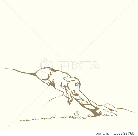 Vector drawing. The sheep got lost in the field Vector drawing. The sheep got lost in the field 113588769