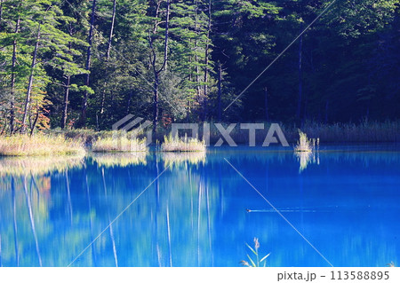 青い池 青い池 113588895