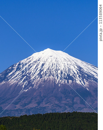 静岡県富士宮市より望む残雪期の富士山 113589064