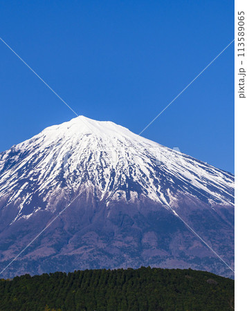 静岡県富士宮市より望む残雪期の富士山 静岡県富士宮市より望む残雪期の富士山 113589065