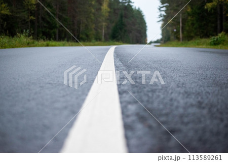 Long and winding road disappearing into the distance through a sparse forest 113589261