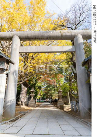 船橋大神宮＜千葉県船橋市/秋＞ 113589394