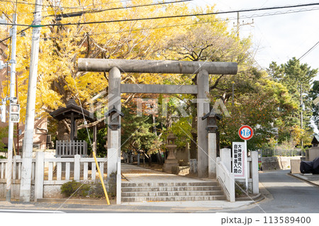 船橋大神宮<千葉県船橋市/秋> 船橋大神宮<千葉県船橋市/秋> 113589400
