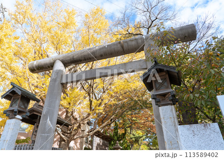 船橋大神宮<千葉県船橋市/秋> 船橋大神宮<千葉県船橋市/秋> 113589402