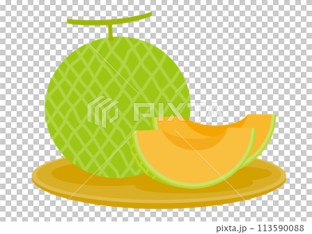 籠皿に載ったメロンのイラスト 113590088