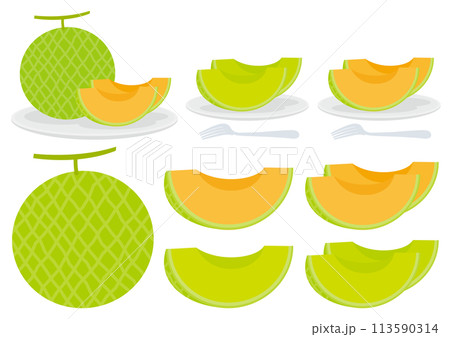 メロンのイラストのセット メロンのイラストのセット 113590314