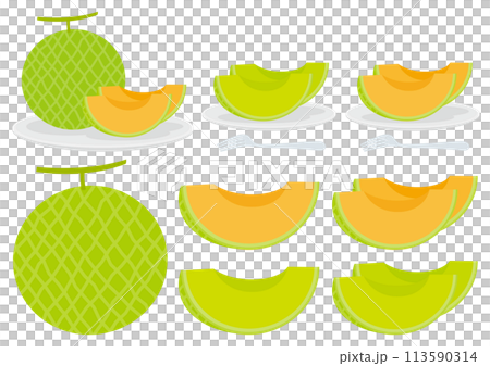 メロンのイラストのセット メロンのイラストのセット 113590314