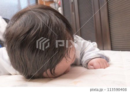 【赤ちゃん　うつぶせ】 113590408