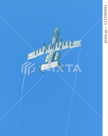 上昇するアメリカ空軍A-10AサンダーボルトⅡ攻撃機 113590481