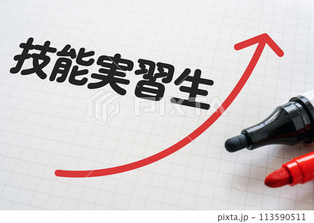 技能実習生と書かれたノートとマーカー 技能実習生と書かれたノートとマーカー 113590511