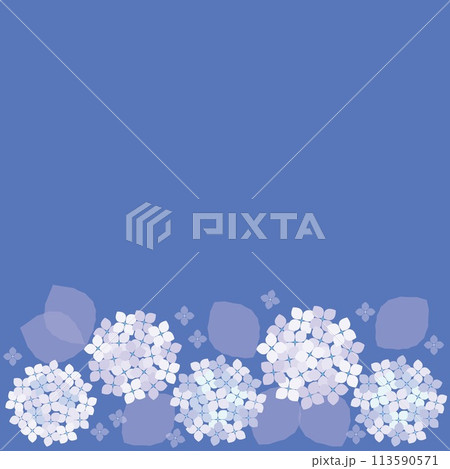 紫陽花　フレーム　白色 113590571