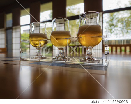 おいしいビールの飲み比べ 113590608