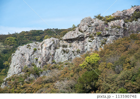 春の石門公園 113590748