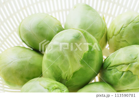 芽キャベツ 芽キャベツ 113590781